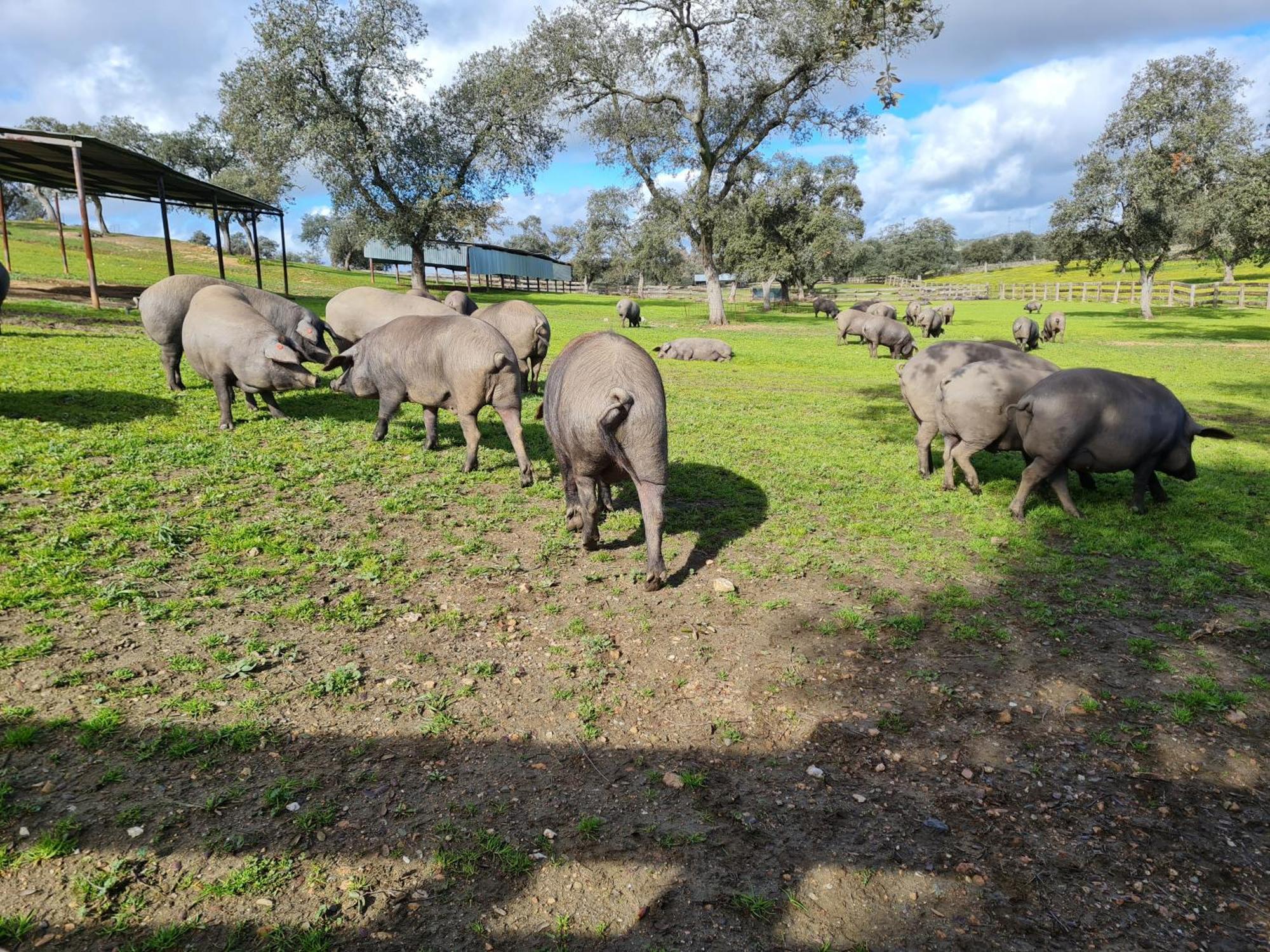 Alojamiento Rural Finca Barral 엘카로보 외부 사진
